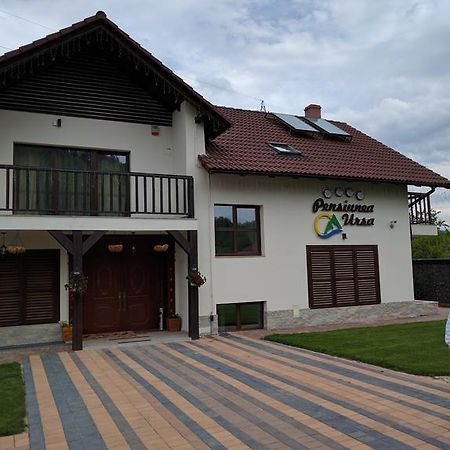 Pensiunea Ursa Hotel Bistrita Bargaului Exterior foto